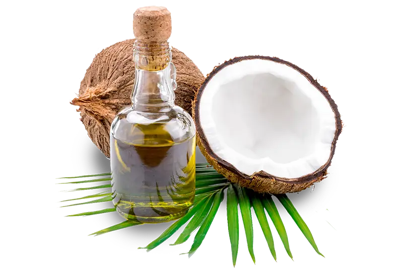 Premium Coconut Oil